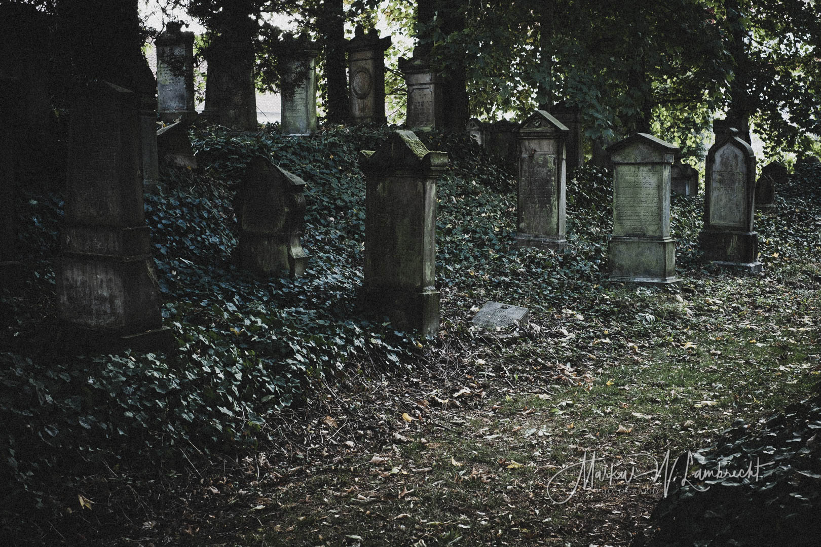 Steinheim (Westfalen), Jüdischer Friedhof